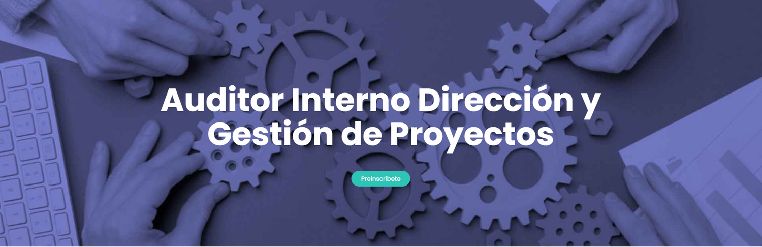 Auditor Interno Directrices para la Gestión de Proyectos ISO 21502-2020