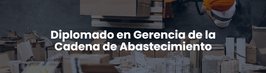 Diplomado en Gerencia de la Cadena de Abastecimiento