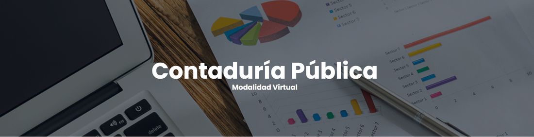 Contaduría Pública Modalidad Virtual