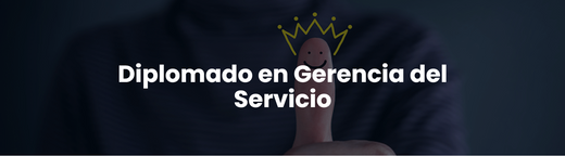 Diplomado en Gerencia del Servicio