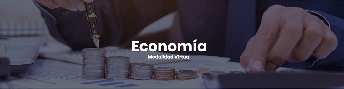 Economía Modalidad Virtual