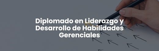 Diplomado en Liderazgo y Desarrollo de Habilidades Gerenciales
