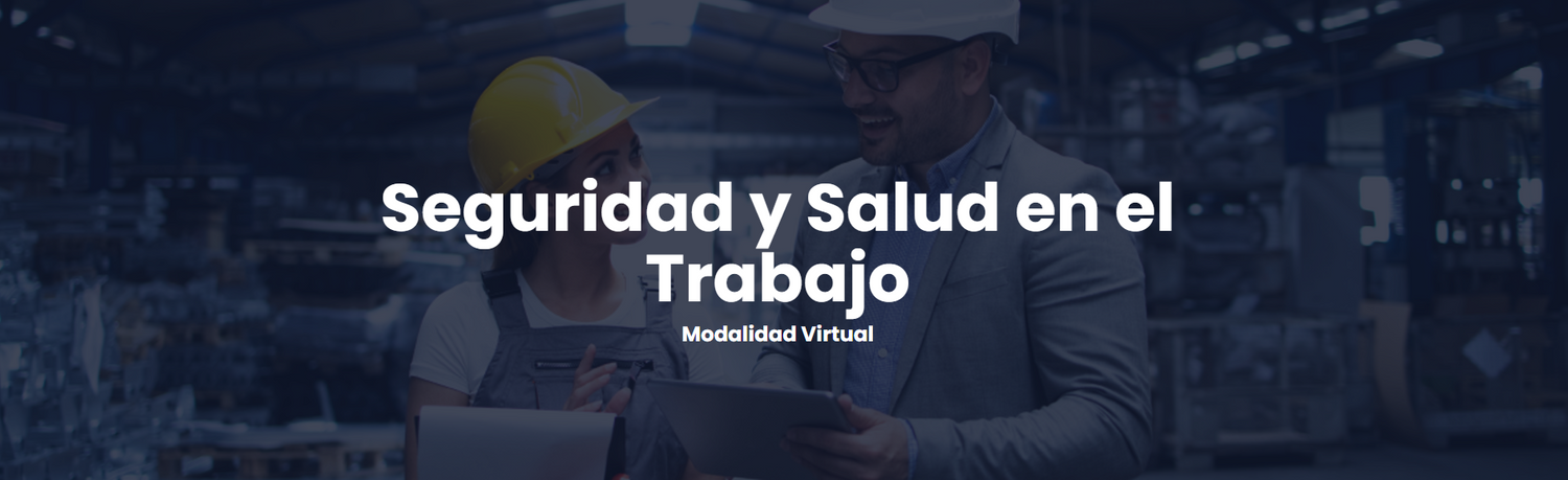 Seguridad y Salud en el Trabajo Modalidad Virtual