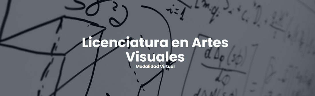 Licenciatura en Artes Visuales Modalidad Virtual