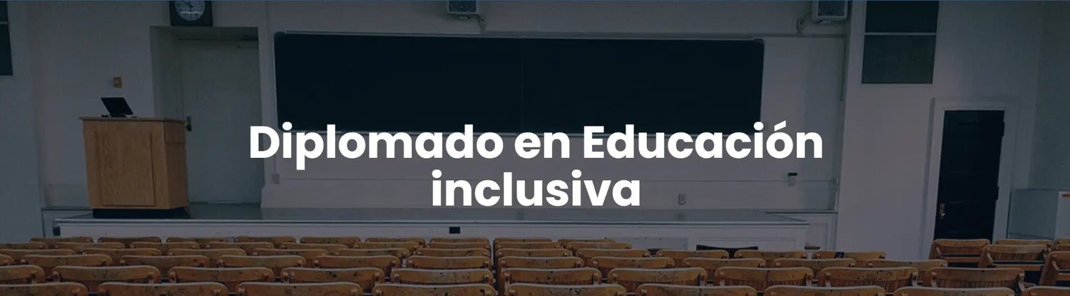 Diplomado en Educación inclusiva