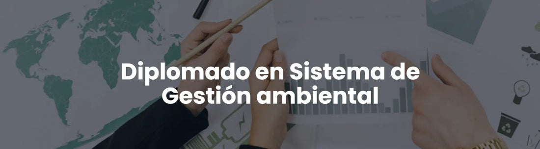 Diplomado en Sistema de Gestión Ambiental