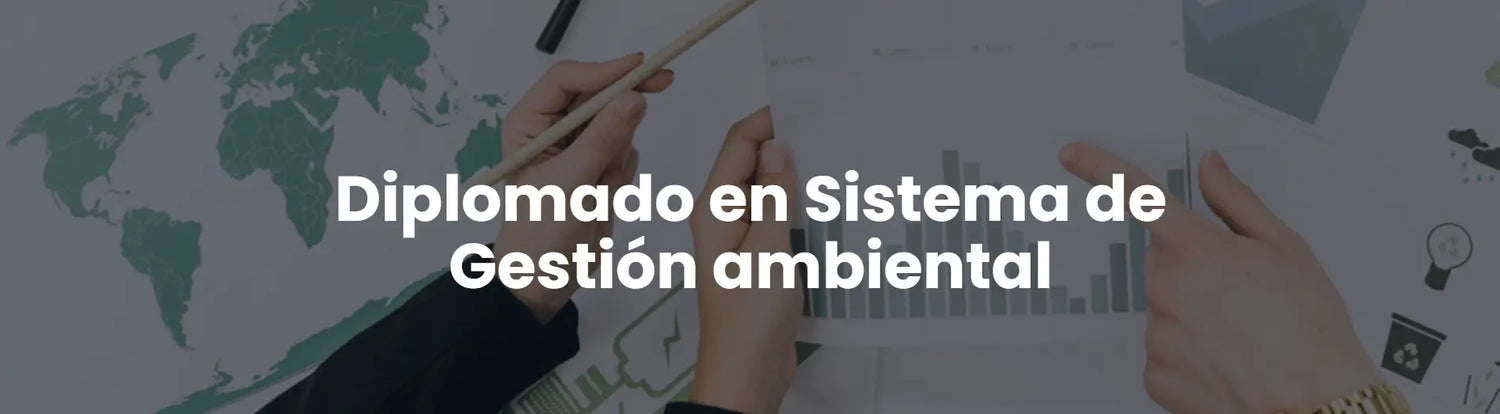 Diplomado en Sistema de Gestión Ambiental