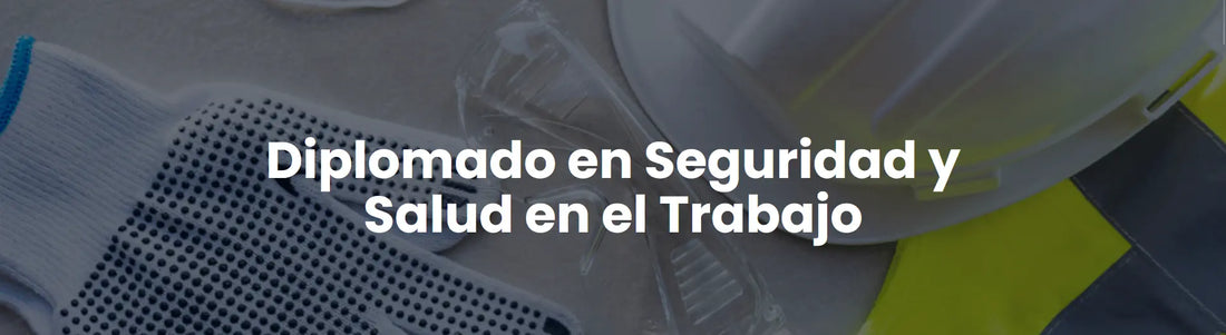 Diplomado en Seguridad y Salud en el Trabajo