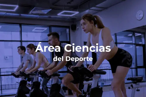 Diplomados – EIDEC